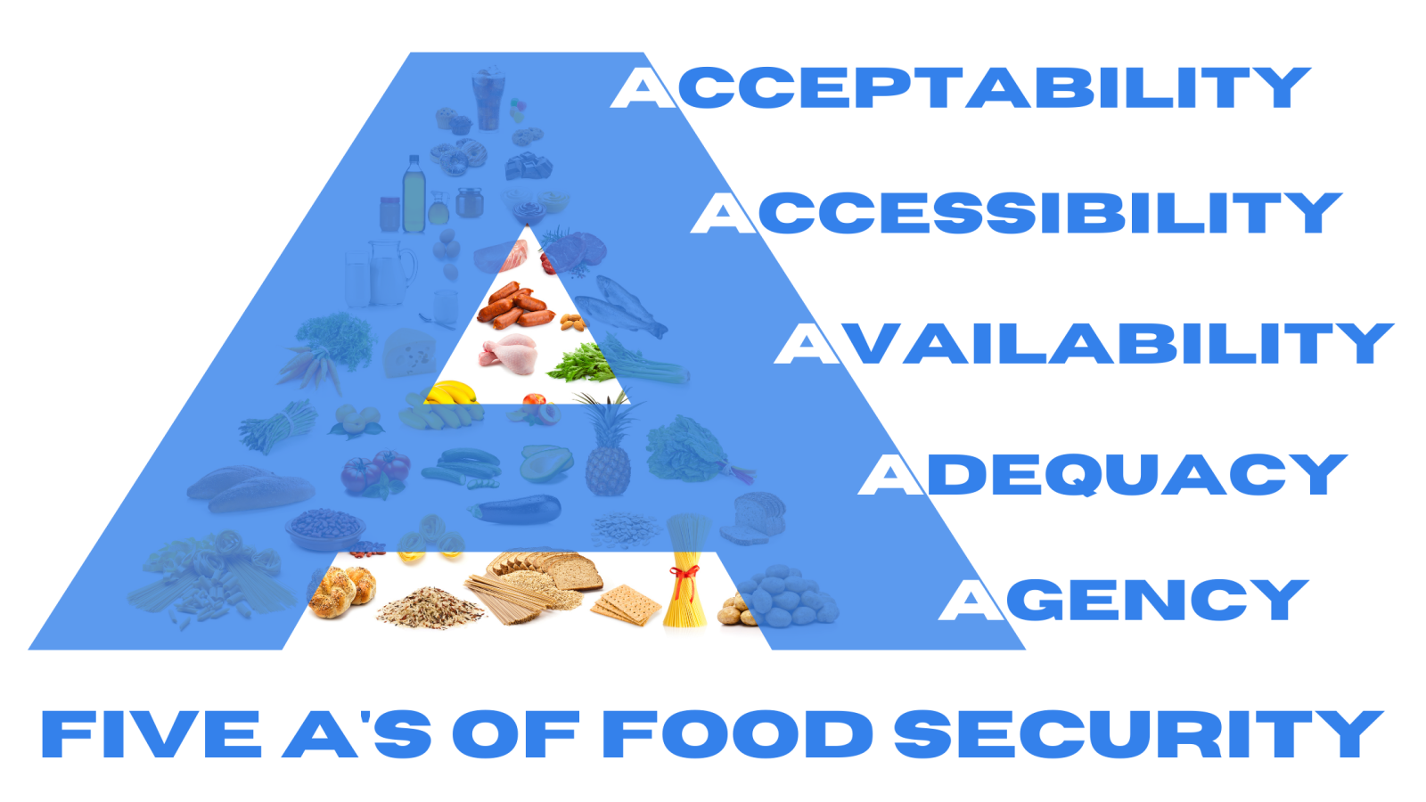 The 5 A's of Food Security Infographic - Florida Freezer